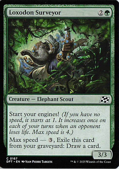 Loxodon Surveyor - DFT 0167