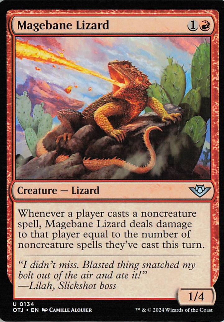 Magebane Lizard - OTJ 0134