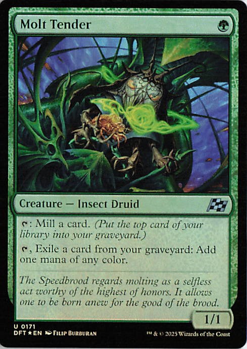 Molt Tender - DFT 0171