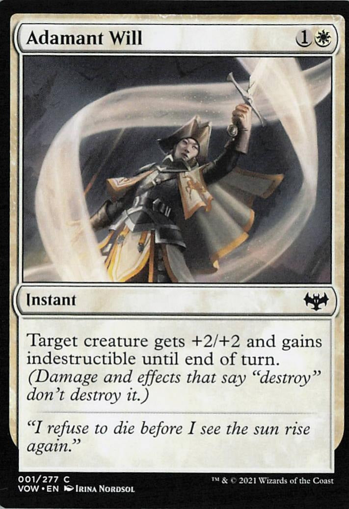TDT-MTG-002077