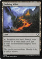 Evolving Wilds