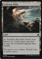 Evolving Wilds - FDN - 0262