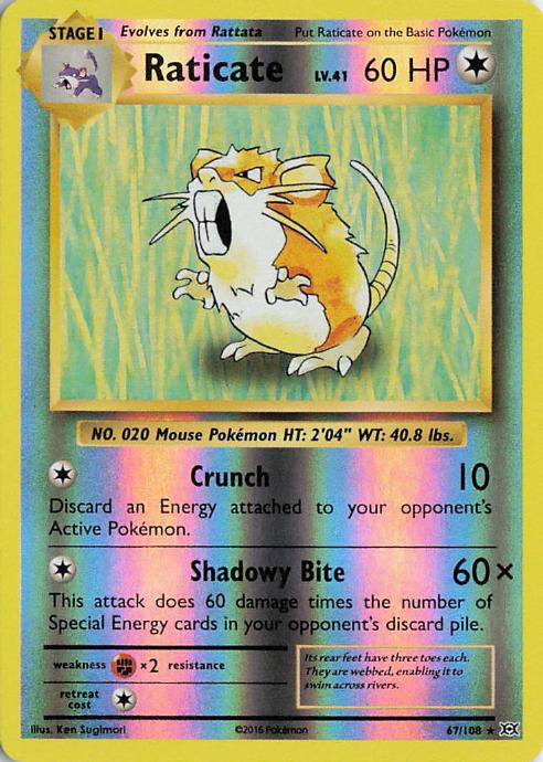 Raticate 67/108 Evolutions