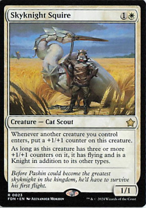 Skyknight Squire - FDN 0023