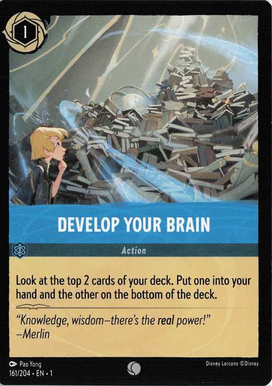Develop Your Brain - The First Chapter 161/204