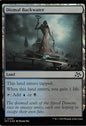 Dismal Backwater - DFT 254 (MTG)
