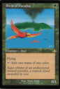 Birds of Paradise - DMR 0336 Retro