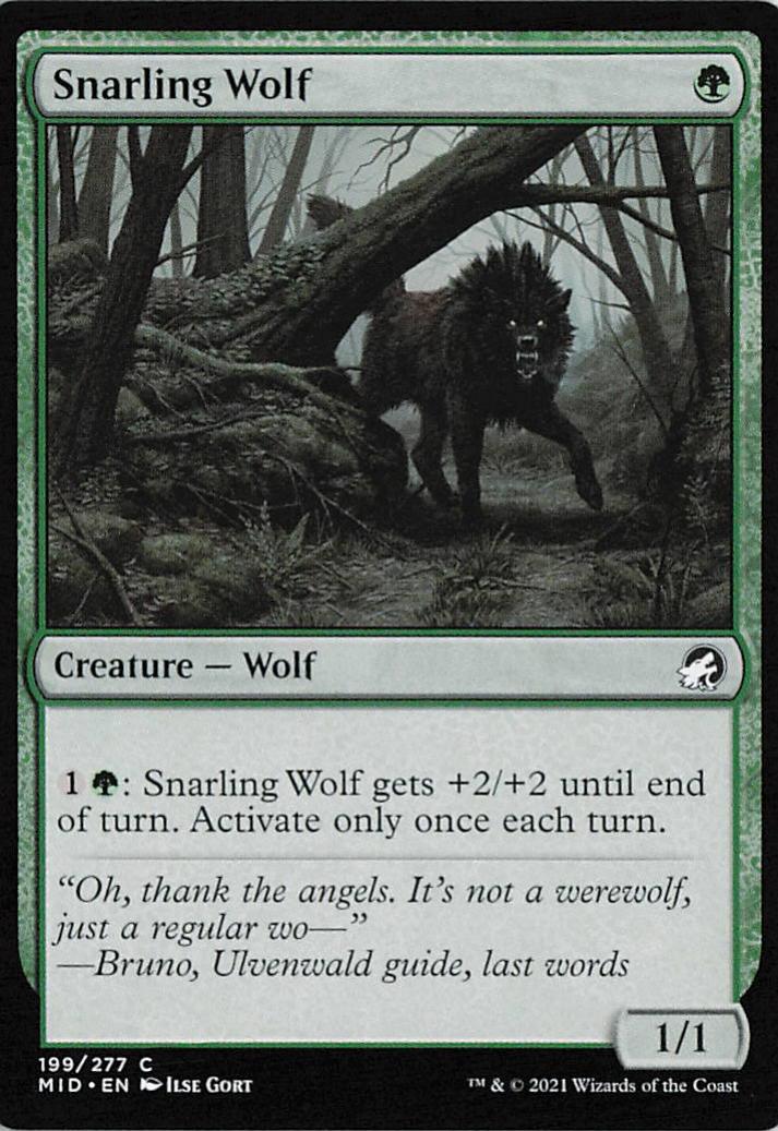 Snarling Wolf - MID 0199