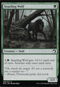 Snarling Wolf - MID 0199