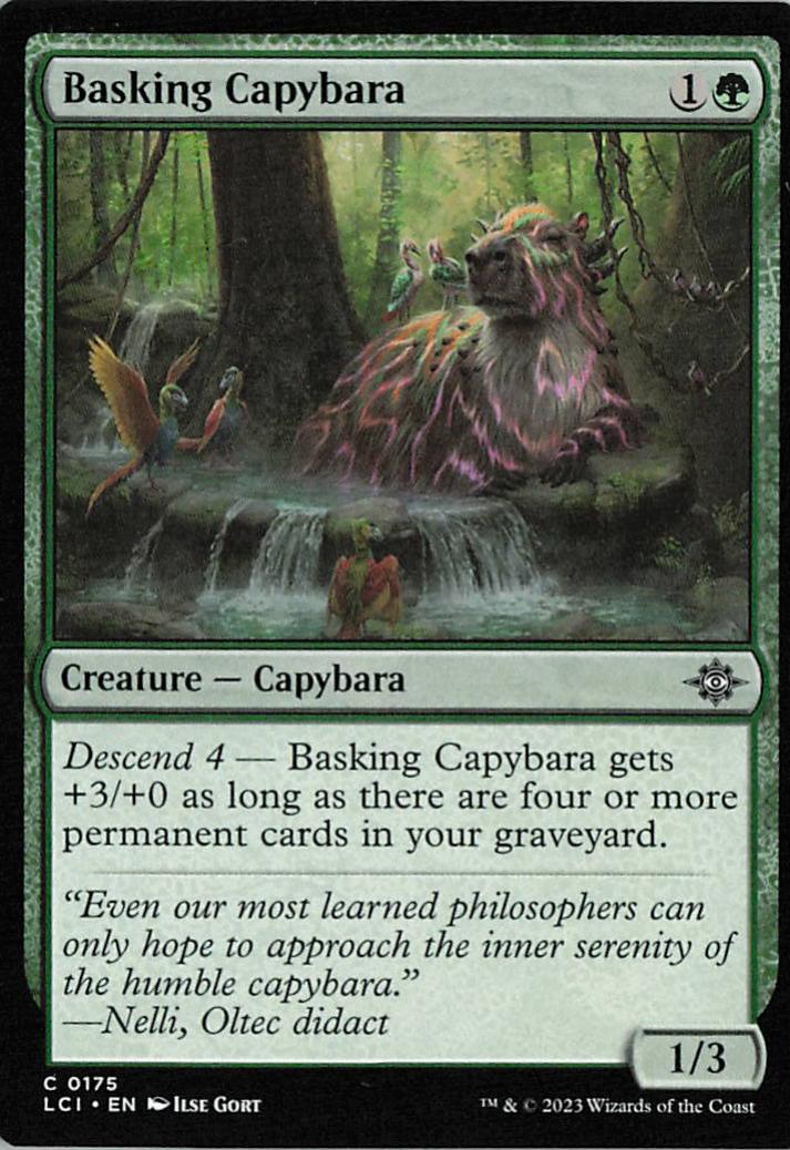 Basking Capybara - LCI 0175