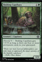 Basking Capybara - LCI 0175