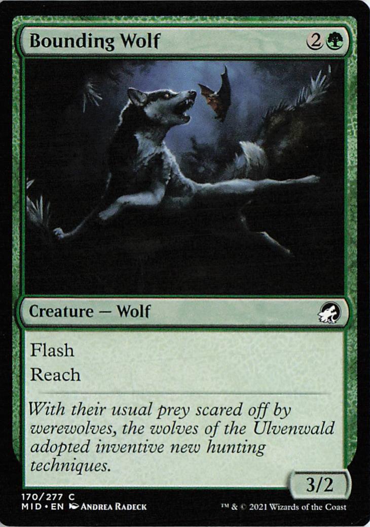Bounding Wolf - MID 0170