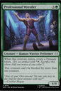 Professional Wrestler - SPM 0110
