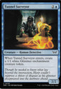 TDT-MTG-001863