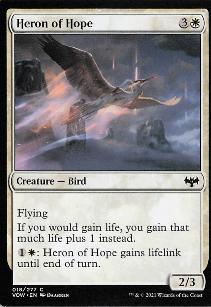 TDT-MTG-002004