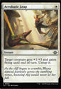TDT-MTG-002048