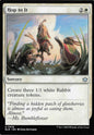 TDT-MTG-002066