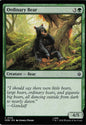 Ordinary Bear
