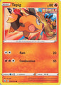 Tepig - Battle Styles 023/163