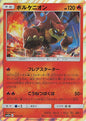 Volcanion - Tag All Stars 022/173 (Japanese)