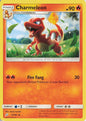 Charmeleon - Team Up 13/181
